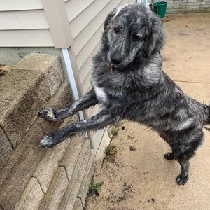 Meet your Posher, Meredith